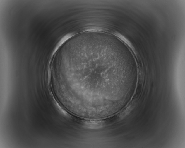 X0000084541290200703021435