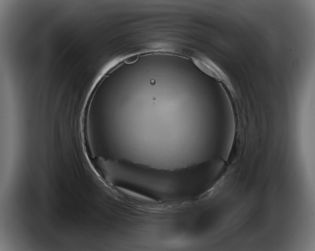 X0000084541291200703021435