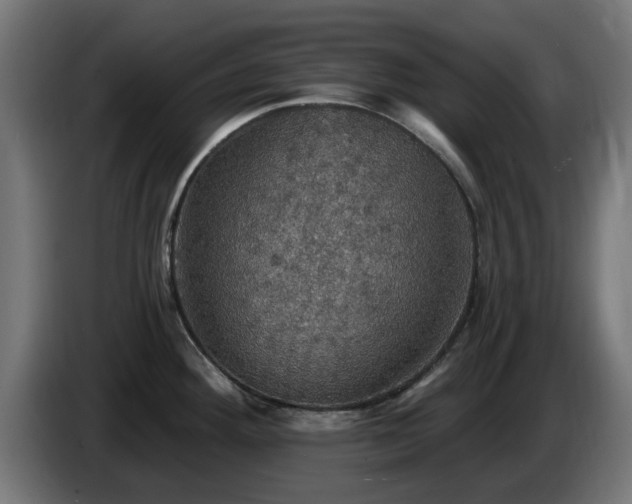 X0000084541292200703021435