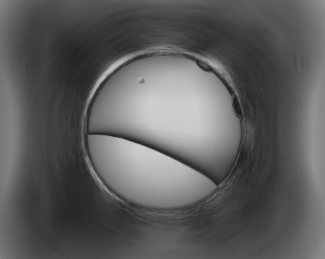 X0000084541295200703021435