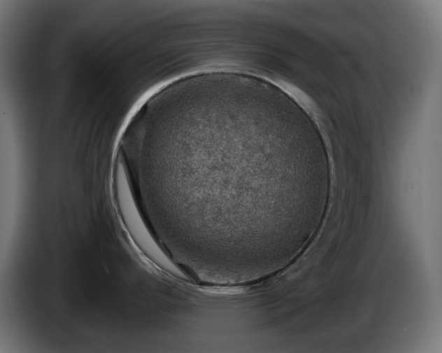 X0000084541296200703021435