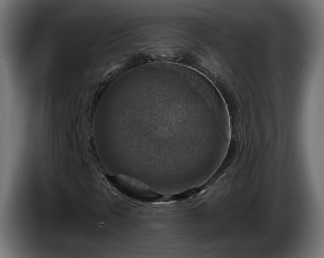 X0000084541297200703021434