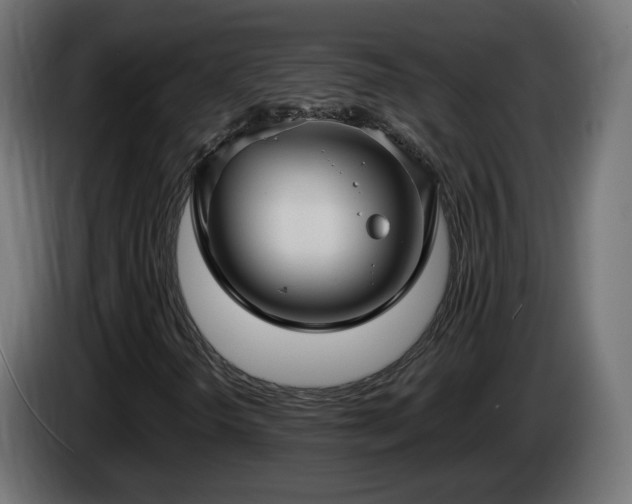 X0000084541298200703021434