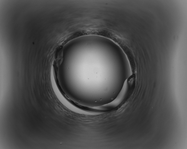 X0000084541300200703021434