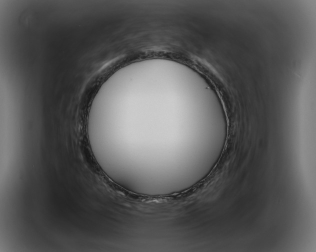 X0000084541303200703021434