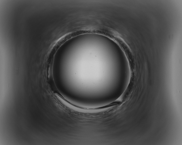 X0000084541304200703021434