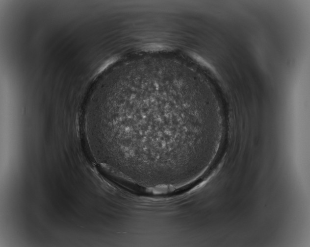 X0000084541305200703021434