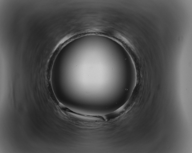 X0000084541308200703021434