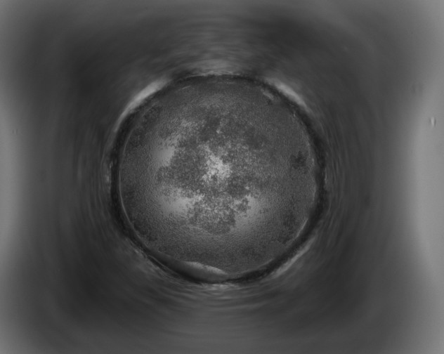 X0000084541309200703021434