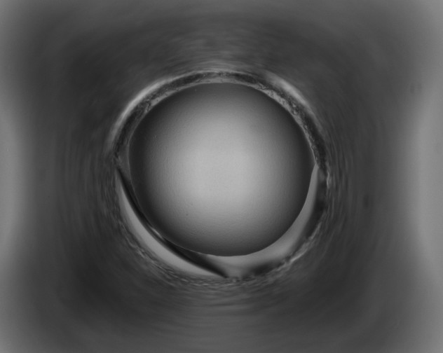 X0000084541310200703021434