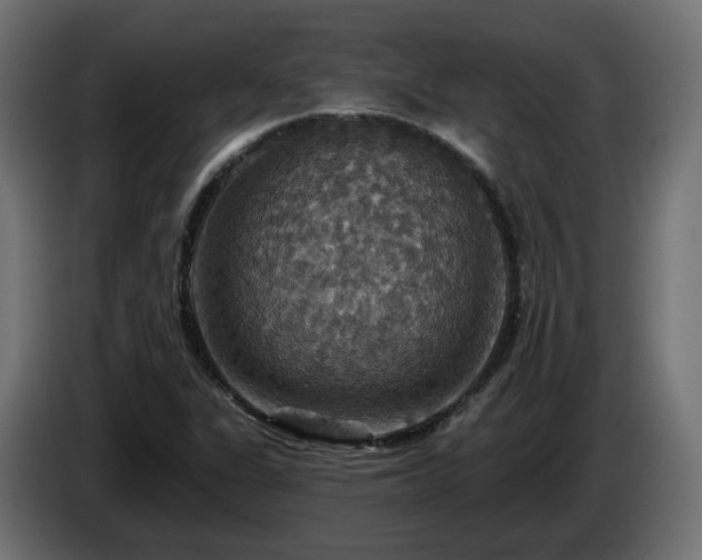 X0000084541311200703021434