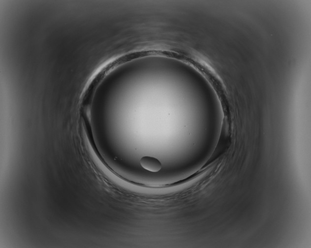 X0000084541312200703021434