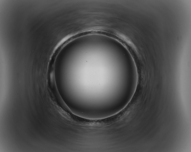 X0000084541316200703021435