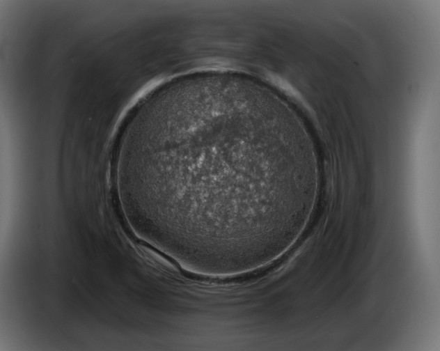 X0000084541318200703021435