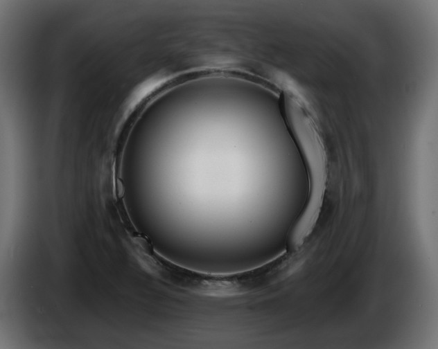 X0000084541320200703021435