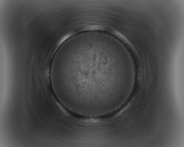 X0000084541321200703021435