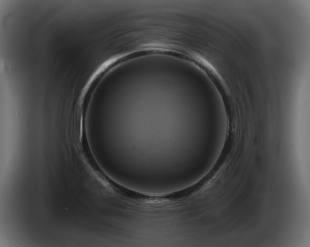 X0000084541323200703021435