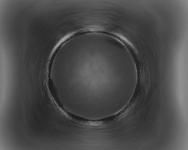 X0000084541325200703021435