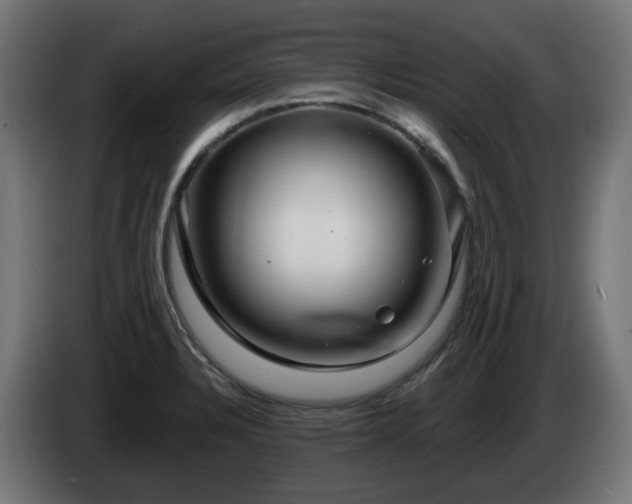 X0000084541328200703021435