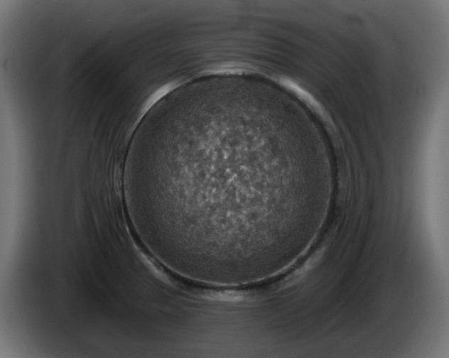 X0000084541329200703021435