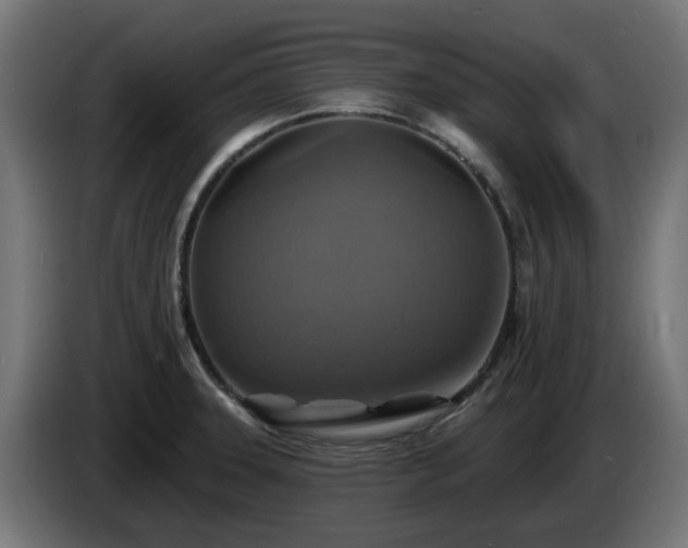 X0000084541331200703021435