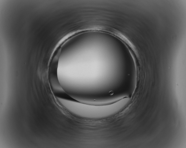 X0000084541332200703021435