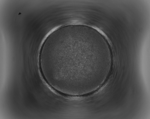 X0000084541333200703021435