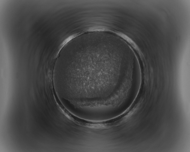 X0000084541337200703021435