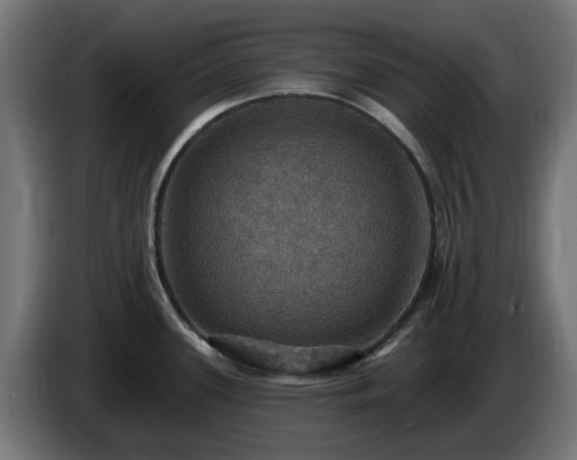 X0000084541339200703021435