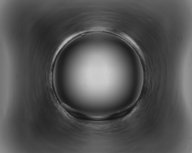 X0000084541340200703021435