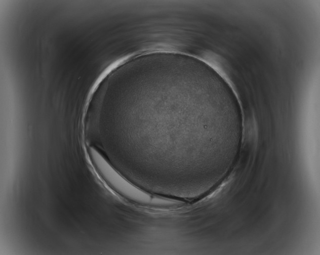 X0000084541341200703021435