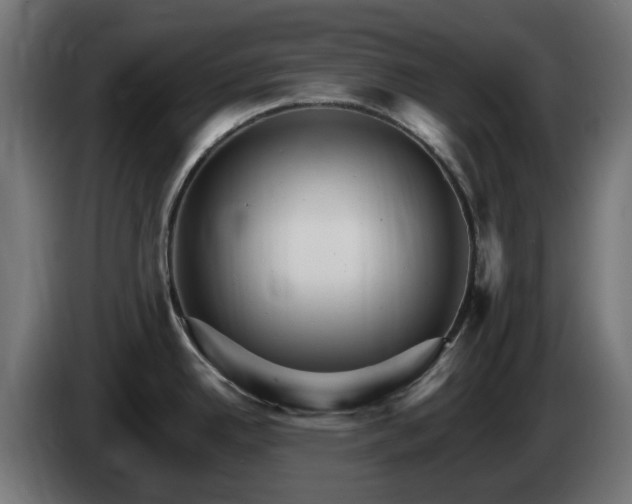 X0000084541342200703021435