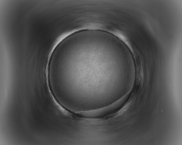 X0000084541343200703021435