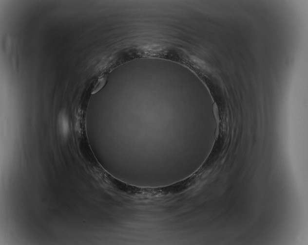X0000084541346200703021434