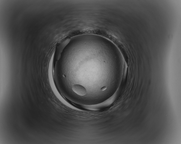 X0000084541348200703021434