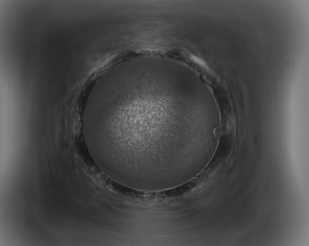 X0000084541350200703021434