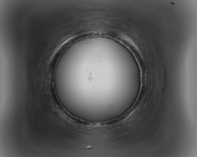 X0000084541352200703021434