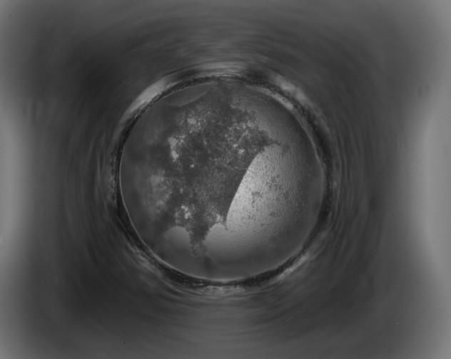 X0000084541354200703021434