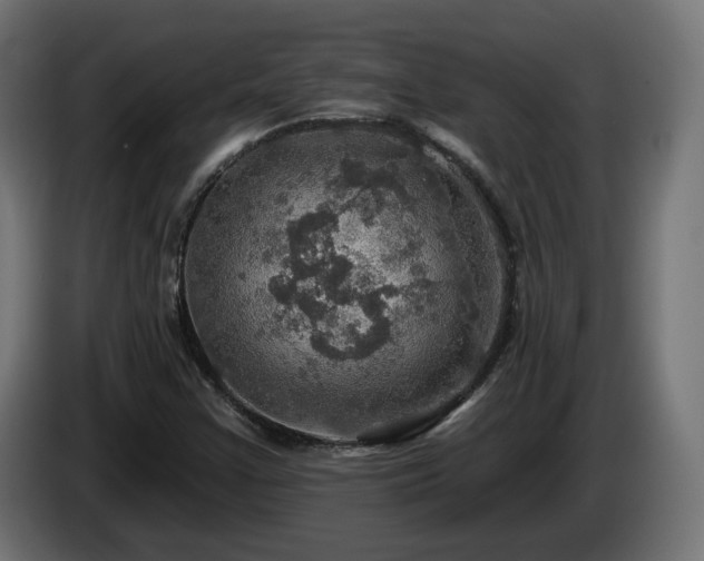 X0000084541355200703021434