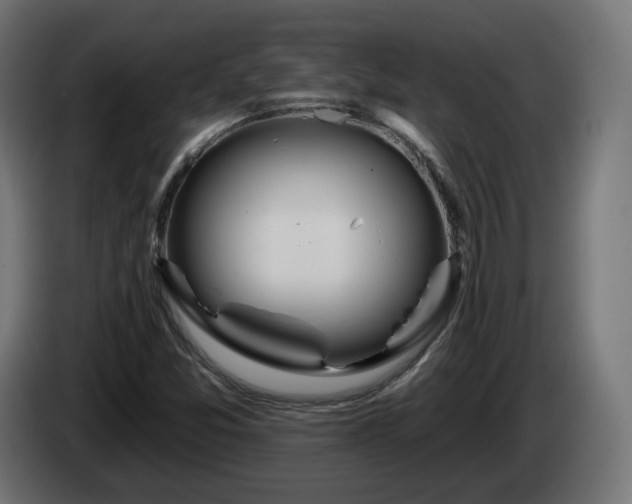 X0000084541357200703021434