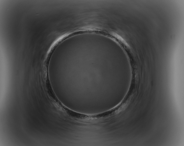 X0000084541358200703021434