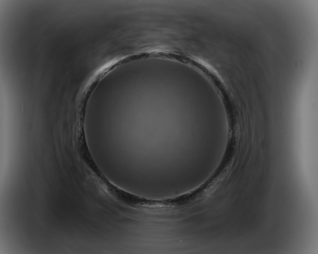 X0000084541359200703021434