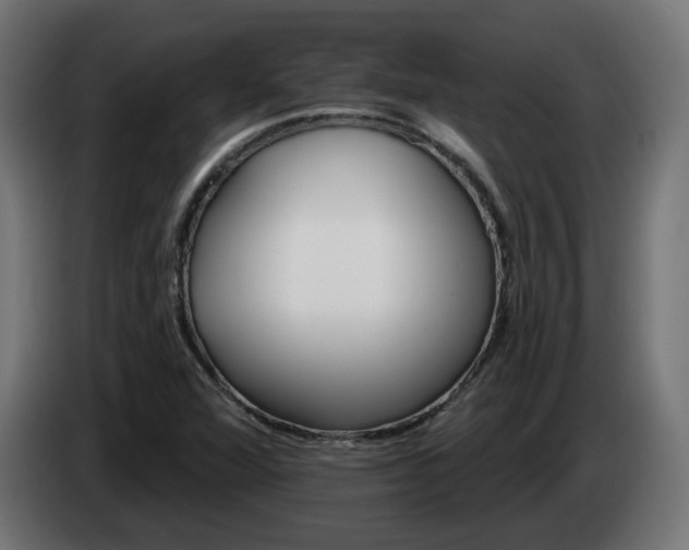 X0000084541360200703021434