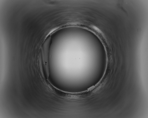 X0000084541361200703021434