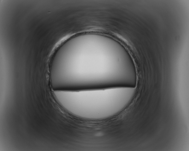 X0000084541363200703021434