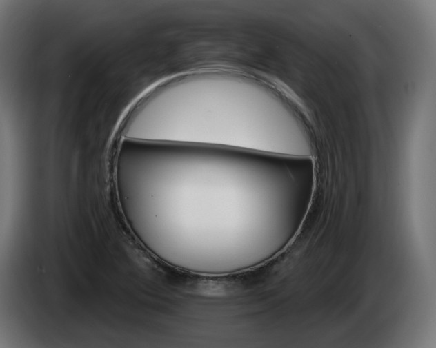 X0000084541364200703021434