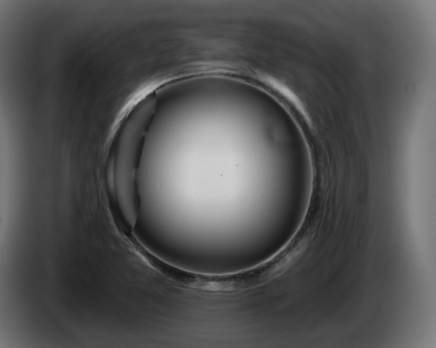 X0000084541365200703021434