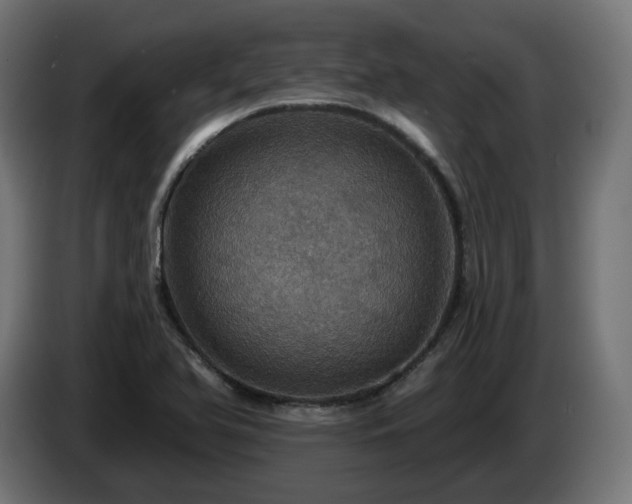 X0000084541366200703021434