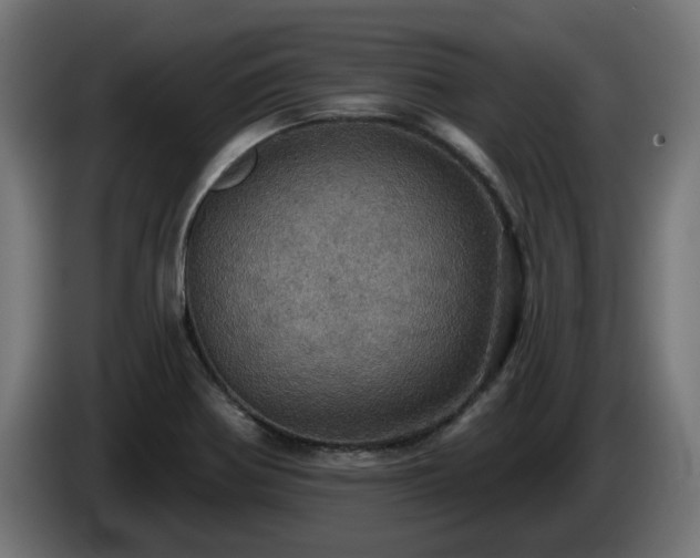 X0000084541370200703021434