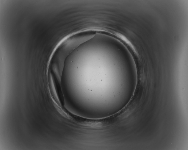 X0000084541372200703021434